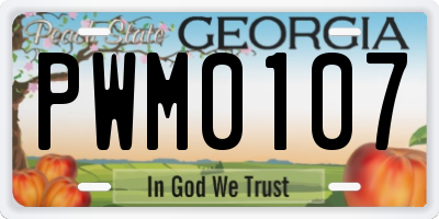 GA license plate PWM0107