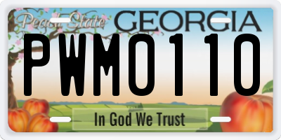 GA license plate PWM0110