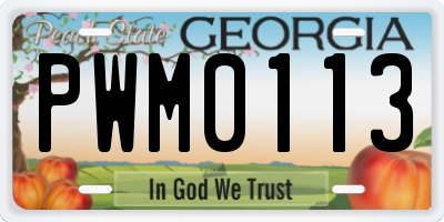 GA license plate PWM0113