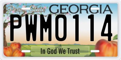 GA license plate PWM0114