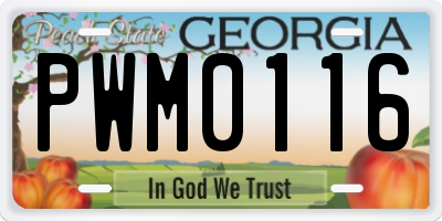 GA license plate PWM0116