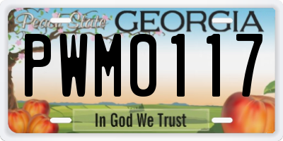 GA license plate PWM0117