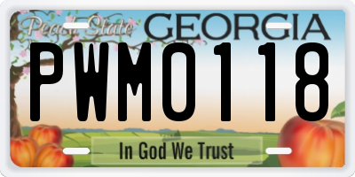 GA license plate PWM0118