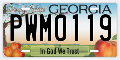 GA license plate PWM0119