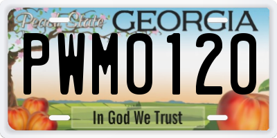GA license plate PWM0120