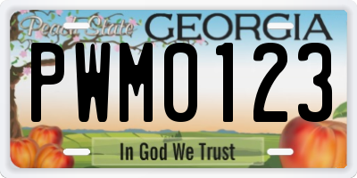 GA license plate PWM0123
