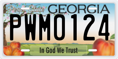 GA license plate PWM0124