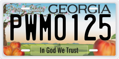 GA license plate PWM0125