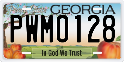 GA license plate PWM0128