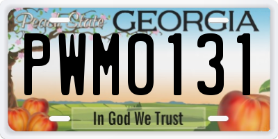 GA license plate PWM0131