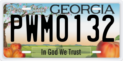 GA license plate PWM0132