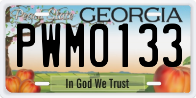 GA license plate PWM0133