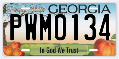 GA license plate PWM0134