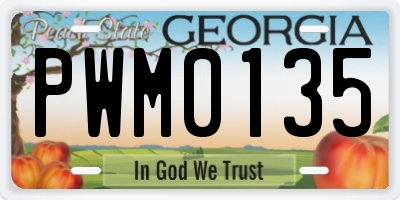 GA license plate PWM0135