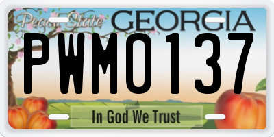 GA license plate PWM0137