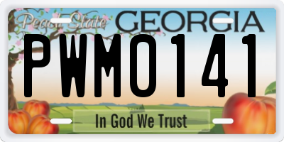 GA license plate PWM0141