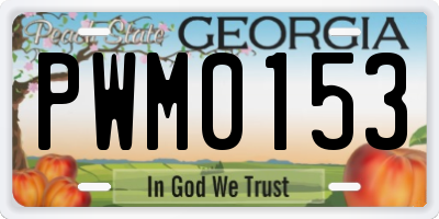 GA license plate PWM0153