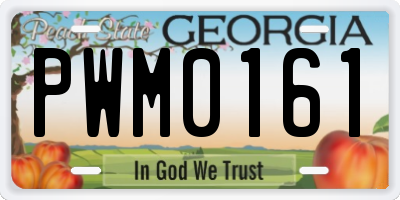GA license plate PWM0161
