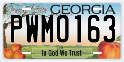 GA license plate PWM0163