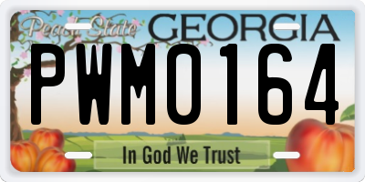 GA license plate PWM0164