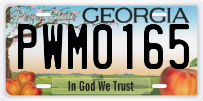 GA license plate PWM0165