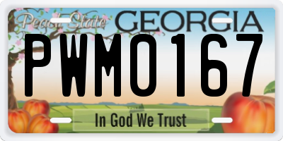GA license plate PWM0167