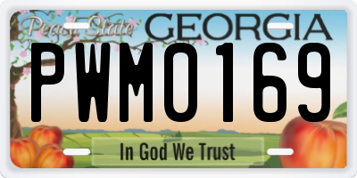 GA license plate PWM0169