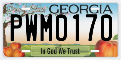 GA license plate PWM0170