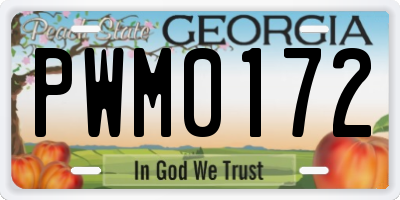 GA license plate PWM0172