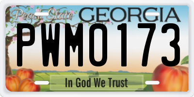 GA license plate PWM0173