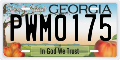 GA license plate PWM0175
