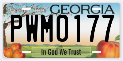 GA license plate PWM0177