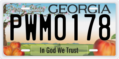 GA license plate PWM0178