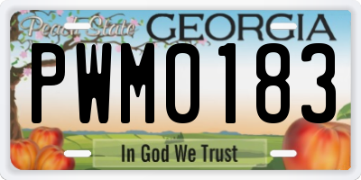 GA license plate PWM0183