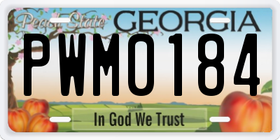 GA license plate PWM0184