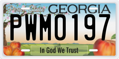 GA license plate PWM0197