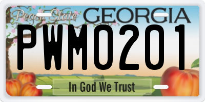 GA license plate PWM0201