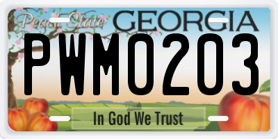 GA license plate PWM0203