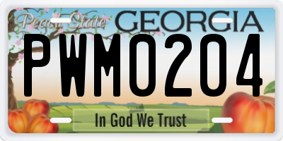 GA license plate PWM0204