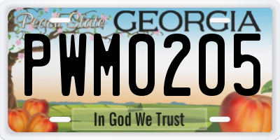 GA license plate PWM0205
