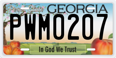 GA license plate PWM0207