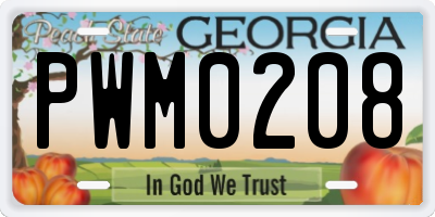 GA license plate PWM0208