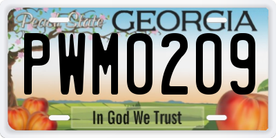 GA license plate PWM0209