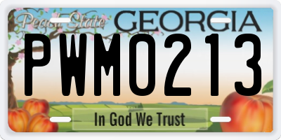 GA license plate PWM0213