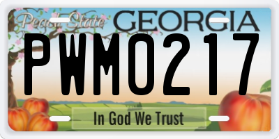 GA license plate PWM0217