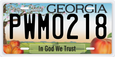 GA license plate PWM0218