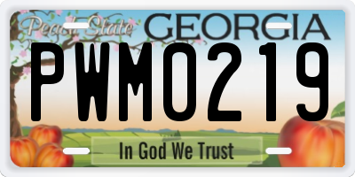 GA license plate PWM0219