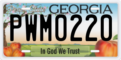 GA license plate PWM0220