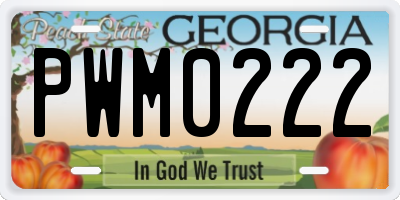 GA license plate PWM0222