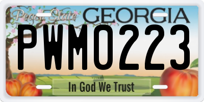 GA license plate PWM0223